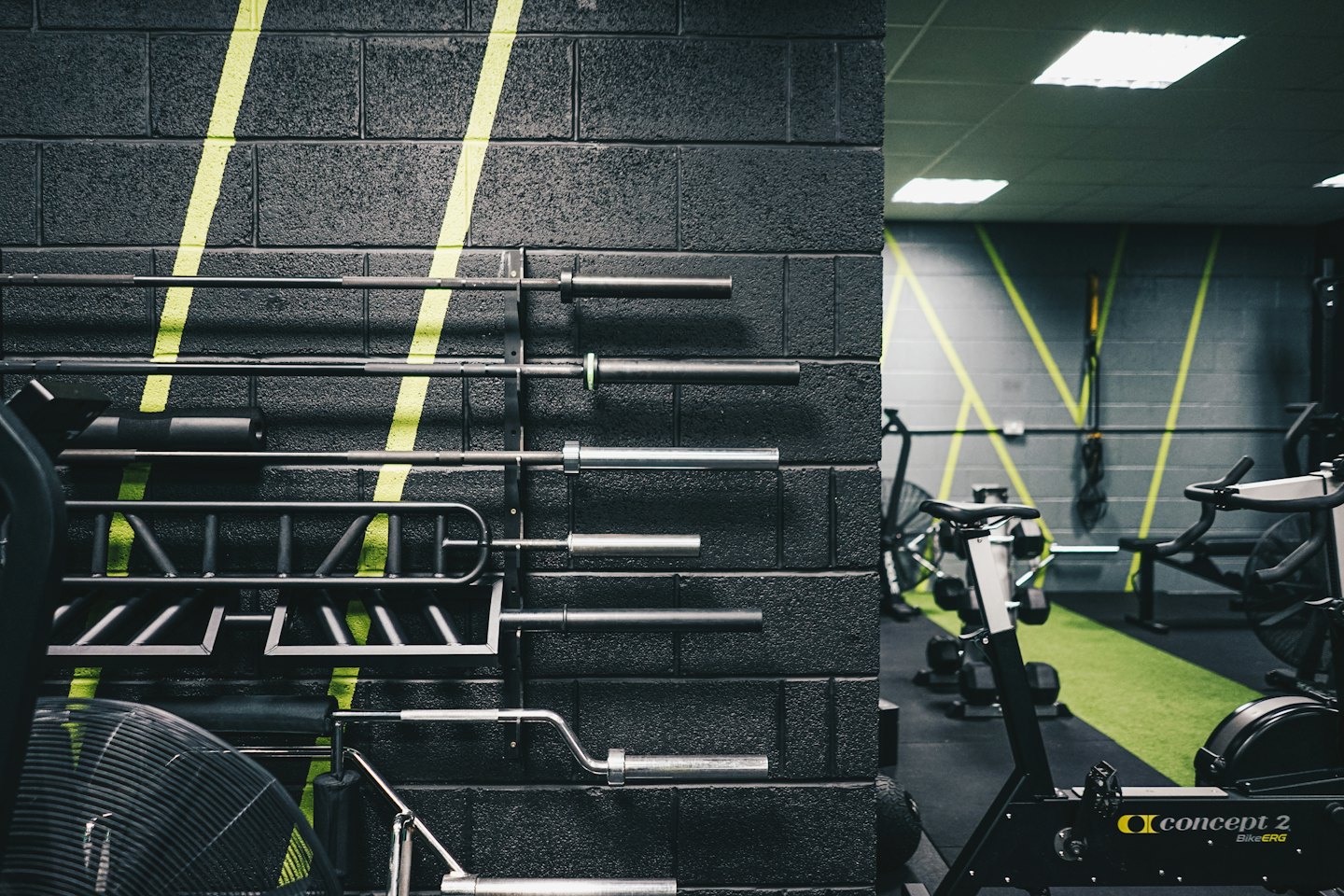 Gym wall with barbells and pull-up bar behind rowing machines.